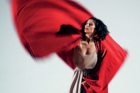 Gorpuztu laburra + Periferias