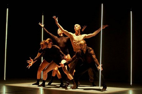 Metamorphosis Dance: Creaccion
