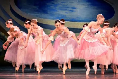 Ukrainako Ballet Klasikoa: Intxaur-hauskailua