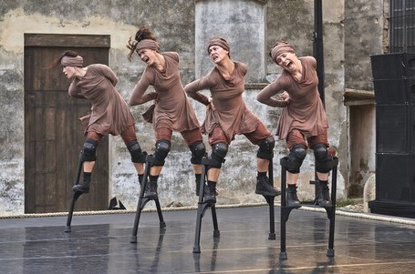 Cia maduixa: Migrare