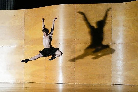 Ballet Am Rhein