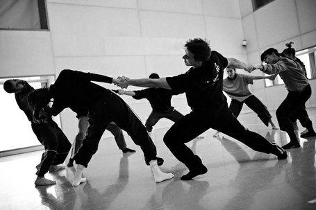 Led Silhouette: Halley