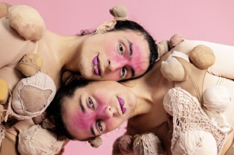 Disiden.Cía: Bipidestrukzioa