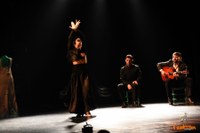 Bilbao Flamenko Faktoria