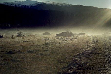 Argazki erakusketa: La tierce des paumés Argazki erakusketa: La tierce des paumés