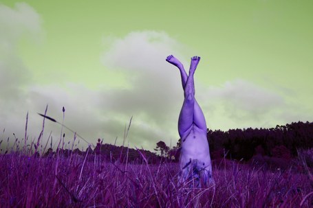 Atic H Deba: Nire zakilaren hauskortasuna