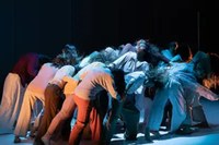 Babirusa Danza: Muchos caballos galopando juntos pueden hacer temblar la tierra Babirusa Danza: Muchos caballos galopando juntos pueden hacer temblar la tierra