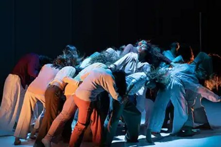 Babirusa Danza: Muchos caballos galopando juntos pueden hacer temblar la tierra