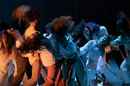 Babirusa: Muchos caballos galopando juntos pueden hacer temblar la tierra