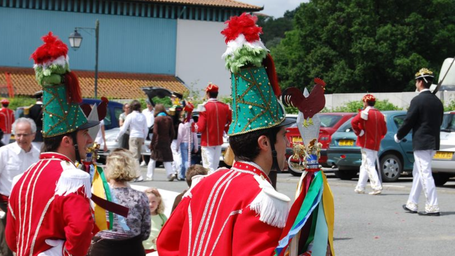 Besta Berri Donamartirin