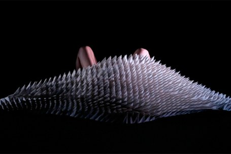 Bettina Szabo: Habitat