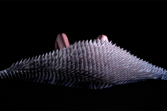 Bettina Szabo: Habitat