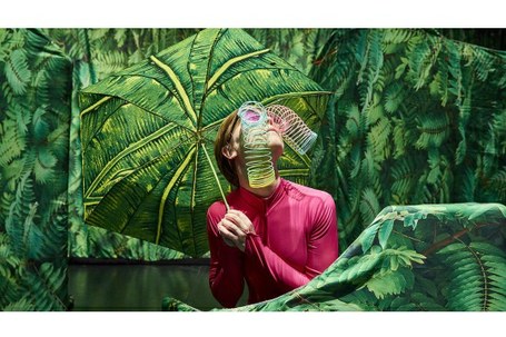 Big Bouncers: Jungla