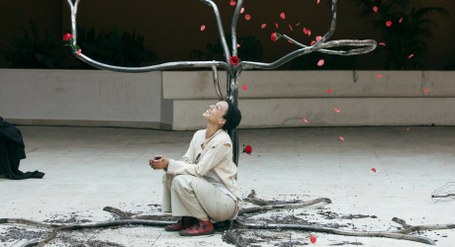 Claire Ducreux: Silencis