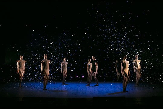Elephant in the black box: Renaissance