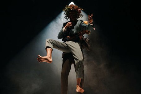 Elias Agirre: Flowerheads show