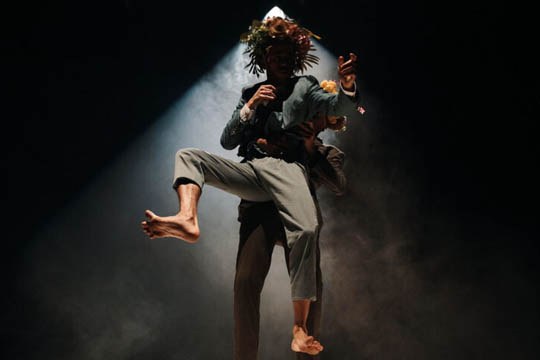 Elias Agirre: Flowerheads show