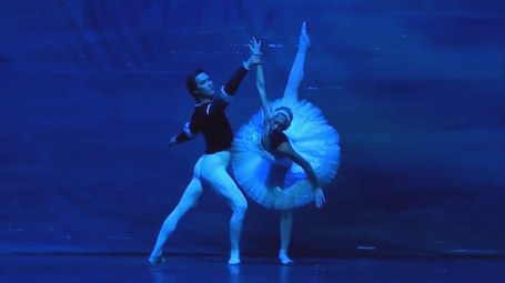 Errusiako Ballet Nazionala: Beltxargaren aintzira