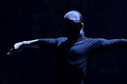 Flamenco: Espacio Creativo