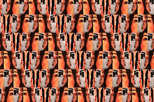Forma Povera: Er rostro