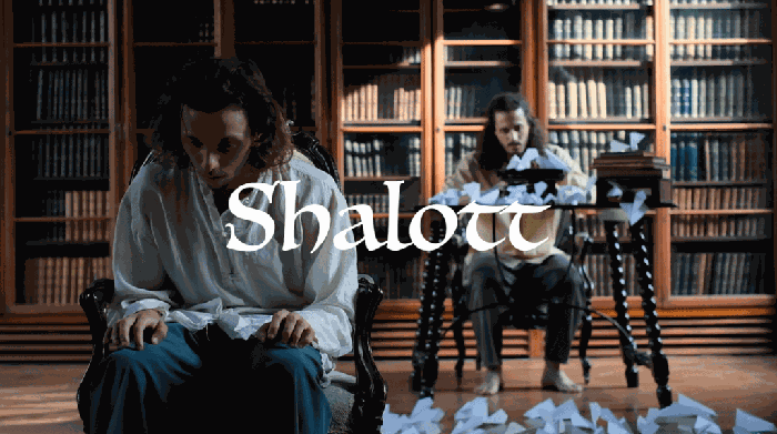 Guillem Batlle i Vlad Ion: Shalott