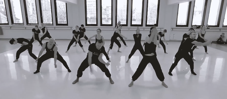 Malandain Ballet Biarritz: Suzko txoria (Entsegu irekia)