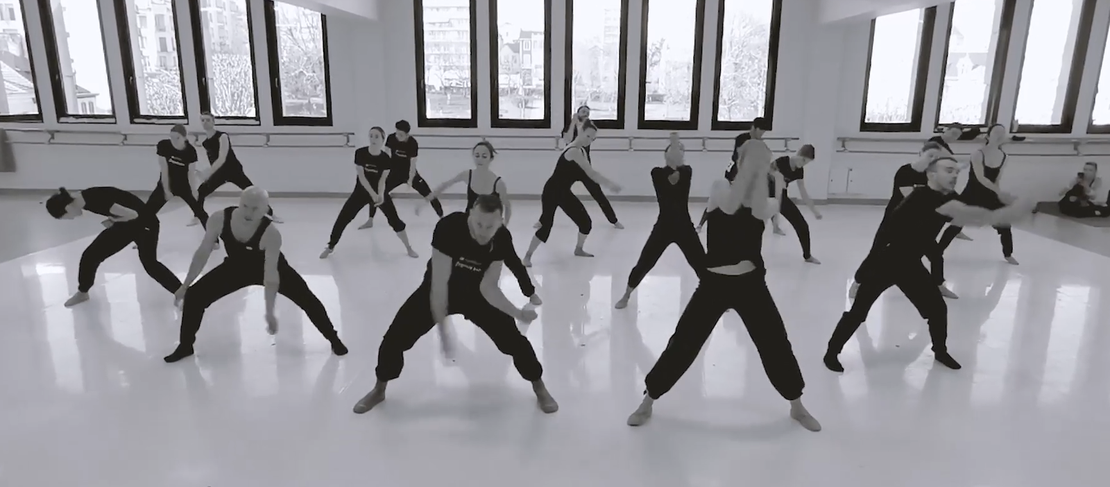 Malandain Ballet Biarritz: Suzko txoria (Entsegu irekia)
