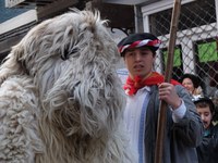 Zahagi-dantza eta Hartza