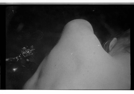 Myriam Perez Cazabon: Iceberg