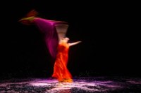 Patricia Ruz: Flores