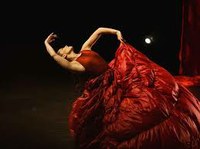 Paula Comitre: Après vous, madame