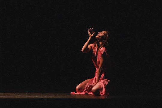 Paula Quintana: Huerto