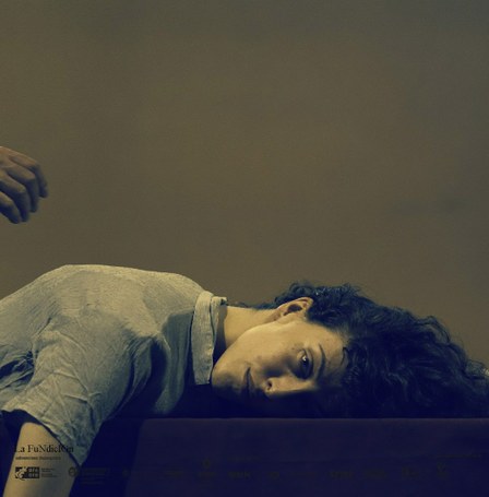 Provisional Danza: Una mirada sutil