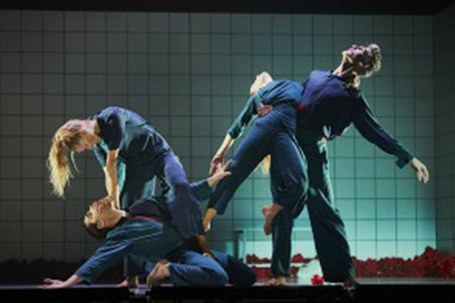 Proyecto Larrua: Otsoa