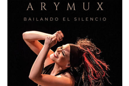 Rakel R.R.: Bailando en silencio
