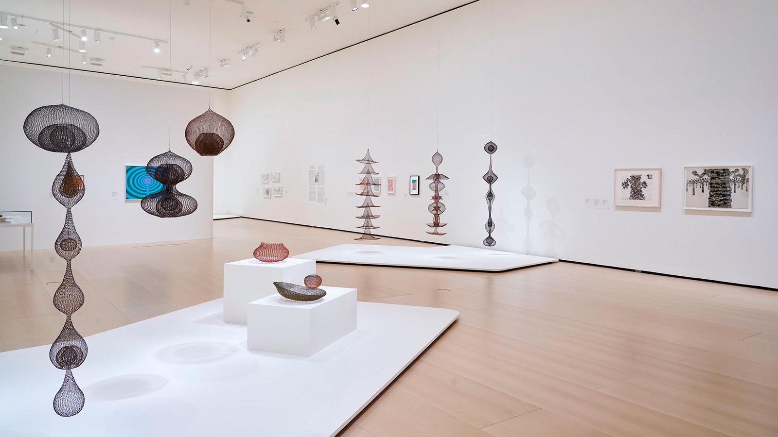 Ruth Asawa: Damtza gogoetatsua
