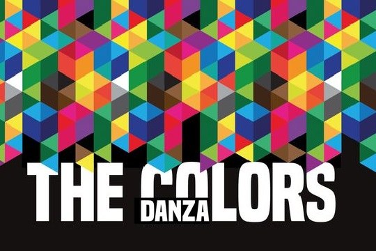 Studio Fran Fonesca: The colors
