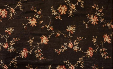 Telapintak eta mihise pintatuak Lapurdin