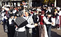 Udaberri Erromeria Udaberri Erromeria