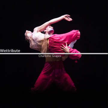 Wettribute: Charlotte Grapes
