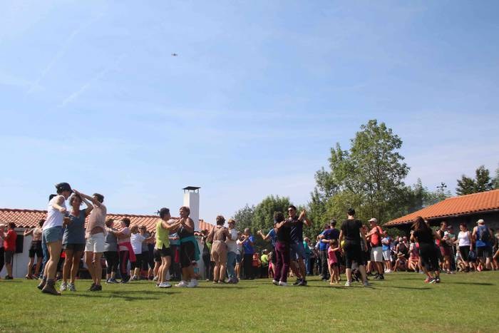 Zelatungo erromeria