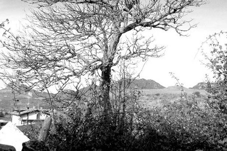 Zuriñe Benavente: Insostenible