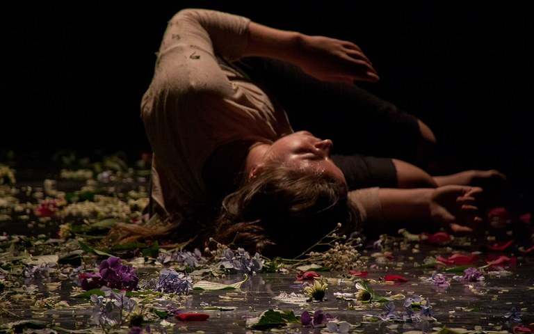 2017ko Dantza Zirkuiturako proposamenak bidaltzeko epea irekita dago