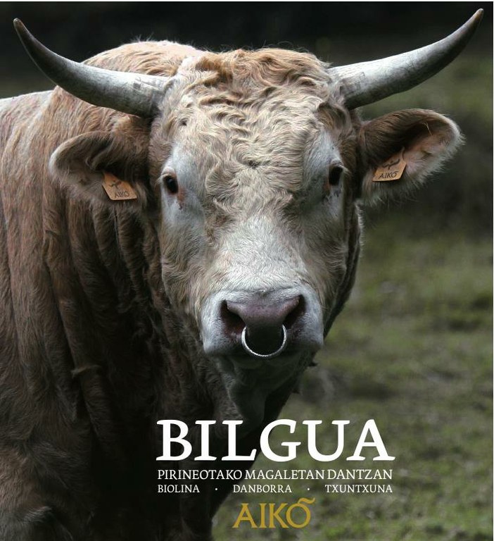 Aiko Taldeak herri dantzarako gonbitea luzatzen du eta Pirinoetako soinua dakar `Bilgua´ bere CD berriarekin Aiko Taldeak herri dantzarako gonbitea luzatzen du eta Pirinoetako soinua dakar `Bilgua´ bere CD berriarekin