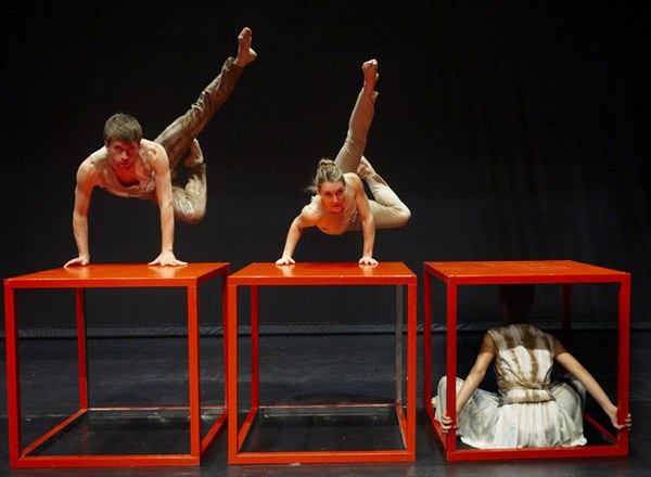 Burnia, Aukeran dantza konpainiaren azken lana