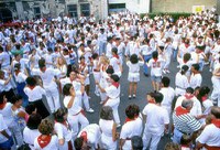 Dantza emanaldiak Baiona eta Gasteizko 2009ko jaietan Dantza emanaldiak Baiona eta Gasteizko 2009ko jaietan