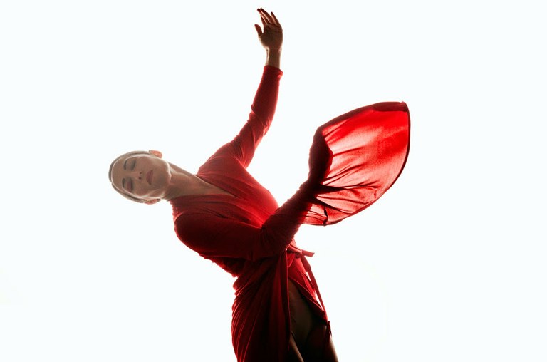 Dantza garaikidearen erakusleiho Dantzaldia jaialdia