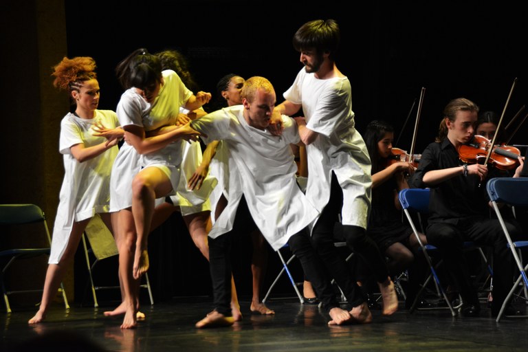 Dantzertiko sarbide probetan izena emateko epea zabalik