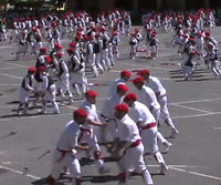 Oiartzunen ospatuko du EDBk 2014ko Euskal Herriko Dantzari Eguna Oiartzunen ospatuko du EDBk 2014ko Euskal Herriko Dantzari Eguna