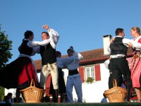 Kikerics ezpalak 2011